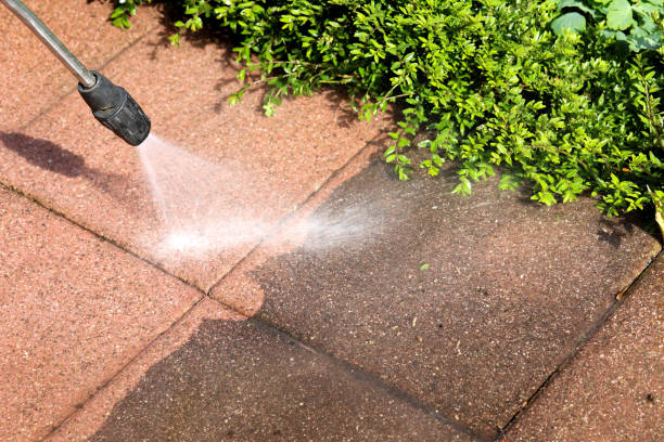 Best Sidewalk Pressure Washing  in Island Heights, NJ